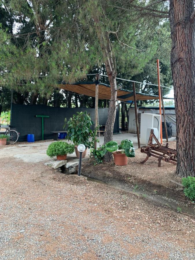 Agrib&B Il Pomo D'Oro Assemini Buitenkant foto